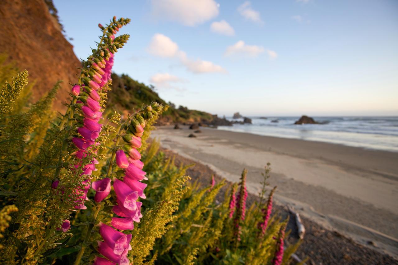 Inn At Cannon Beach Luaran gambar